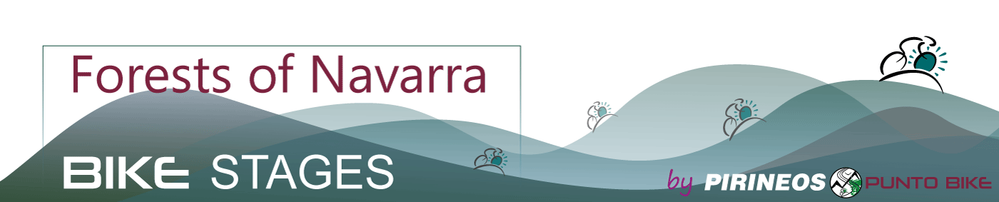 logo-Forests-of-Navarra-big