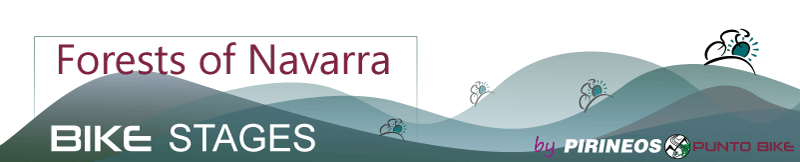 logo-Forests-of-Navarra-small