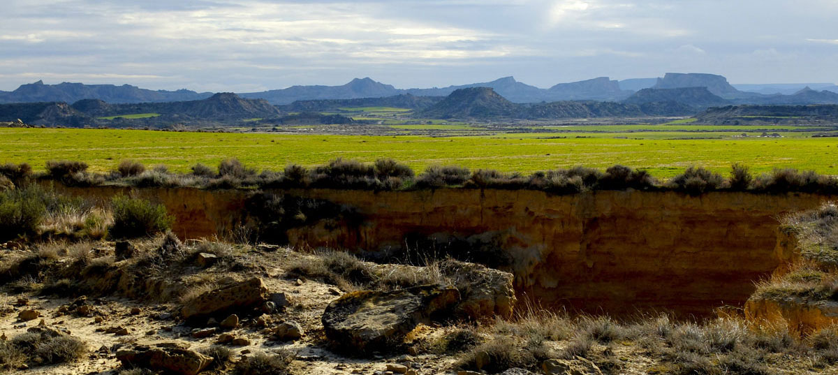 Pastos de las Bardenas Reales