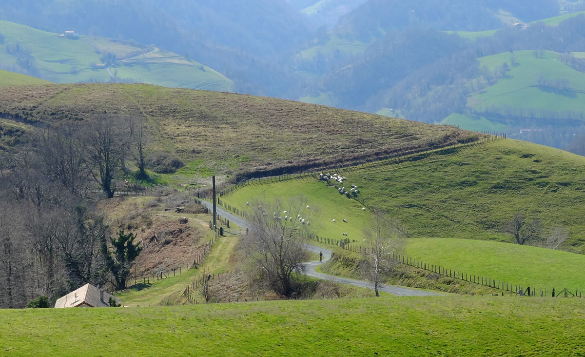 Road to Urepel