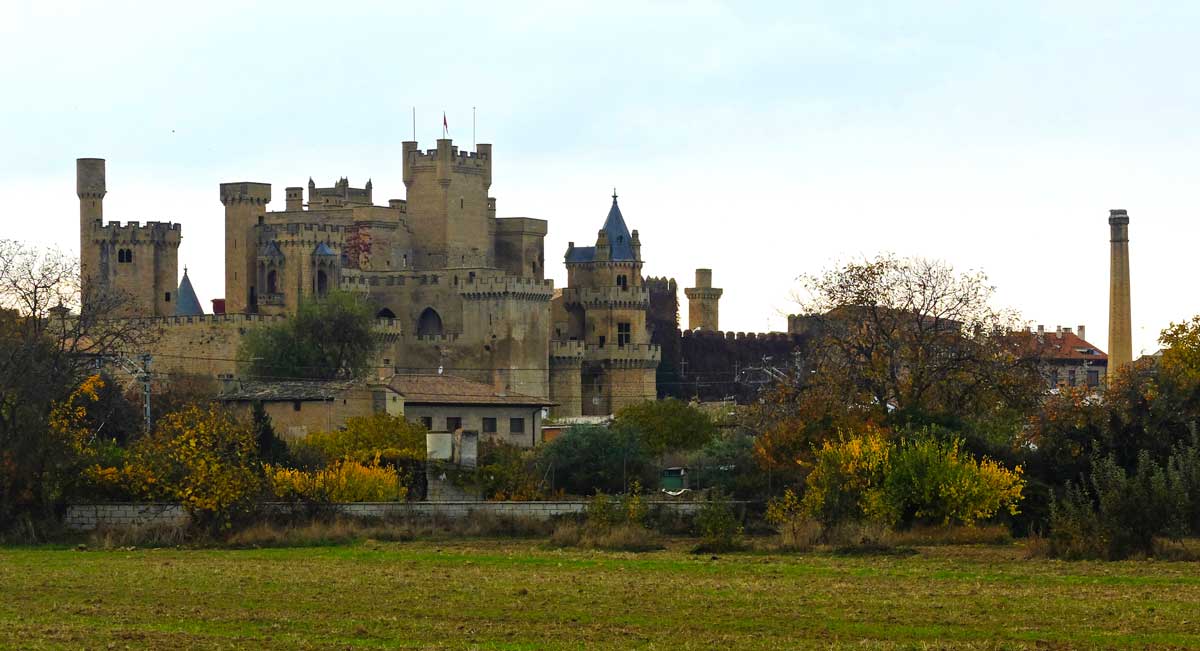 Pamplona-Castillos-del-Reyno-bike-route-Olite