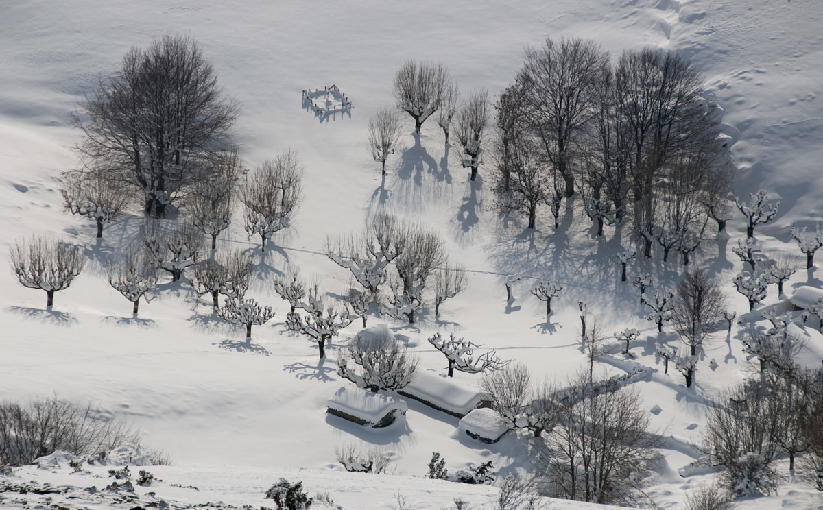 Oidui-snow