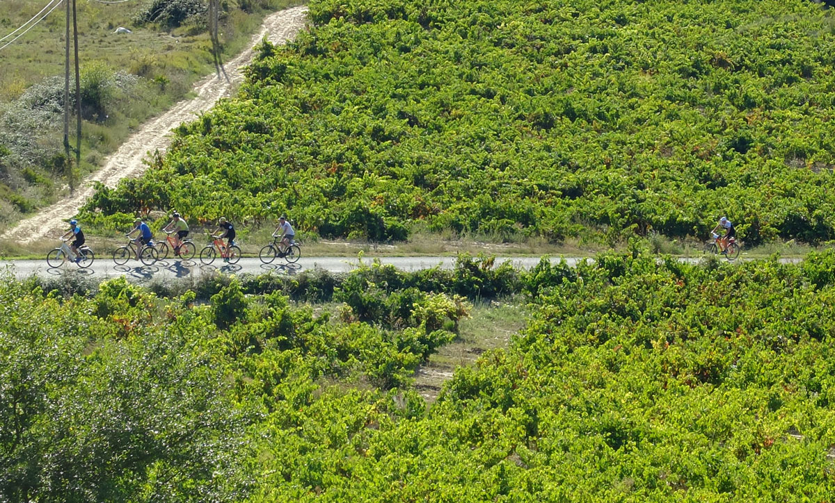 Vignobles de la Rioja Alavesa