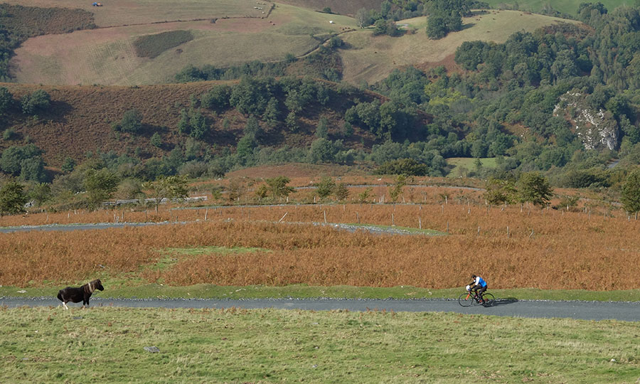 Biker y caballo