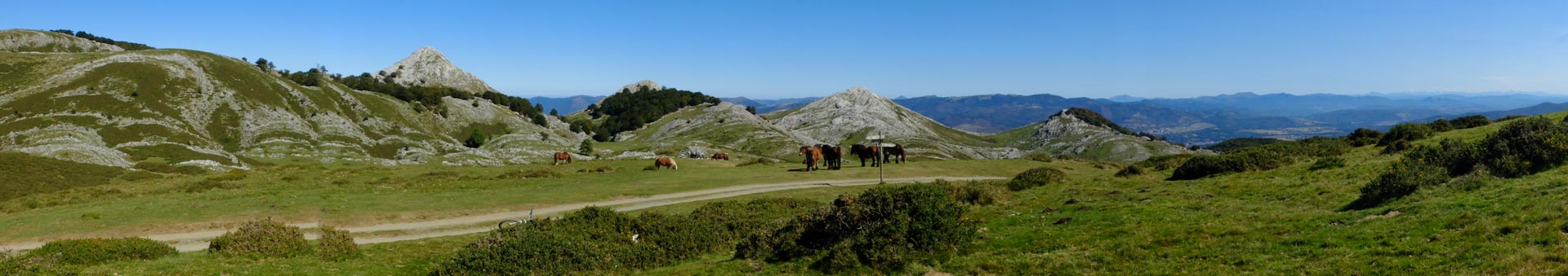 cabezal-Pano-Aralar-caballos